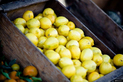 柠檬 水果 新鲜 生产 黄色 食品 美食摄影图片图片壁纸 美食摄影图片图片壁纸