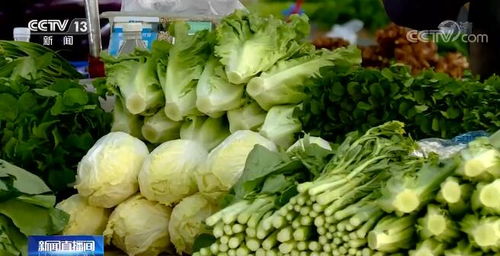 近期蔬菜价格受多重因素影响走高 未来走势如何 相关部门回应民众关切