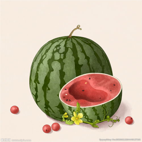 西瓜 西瓜手绘 西瓜插画 水果 水果插画 蔬菜水果原创素材